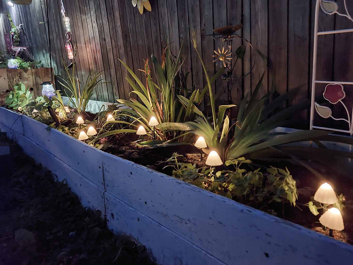 Garden at Night